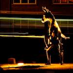 image: Image from the photoset &lsquo;gouda (i)&rsquo;.