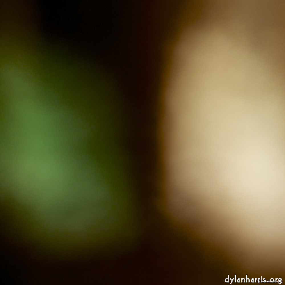 image: This is &lsquo;gouda (ii) 1&rsquo;.