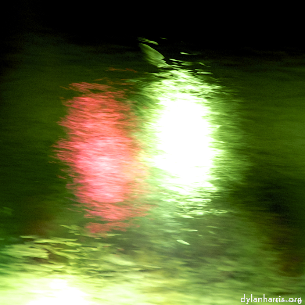 image: This is &lsquo;gouda (ii) 3&rsquo;.