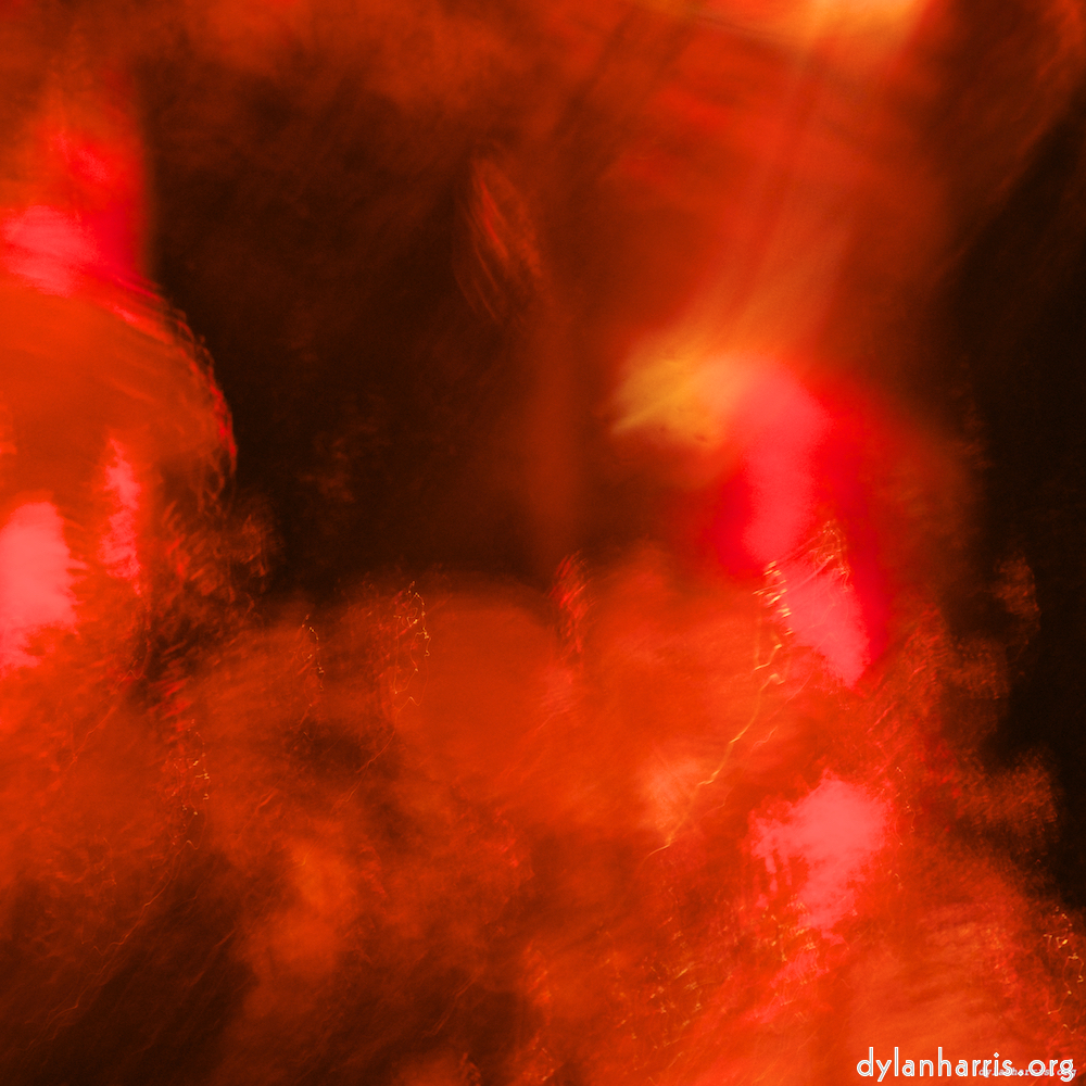 image: This is &lsquo;gouda (ii) 4&rsquo;.