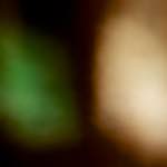 image: Image from the photoset &lsquo;gouda (ii)&rsquo;.