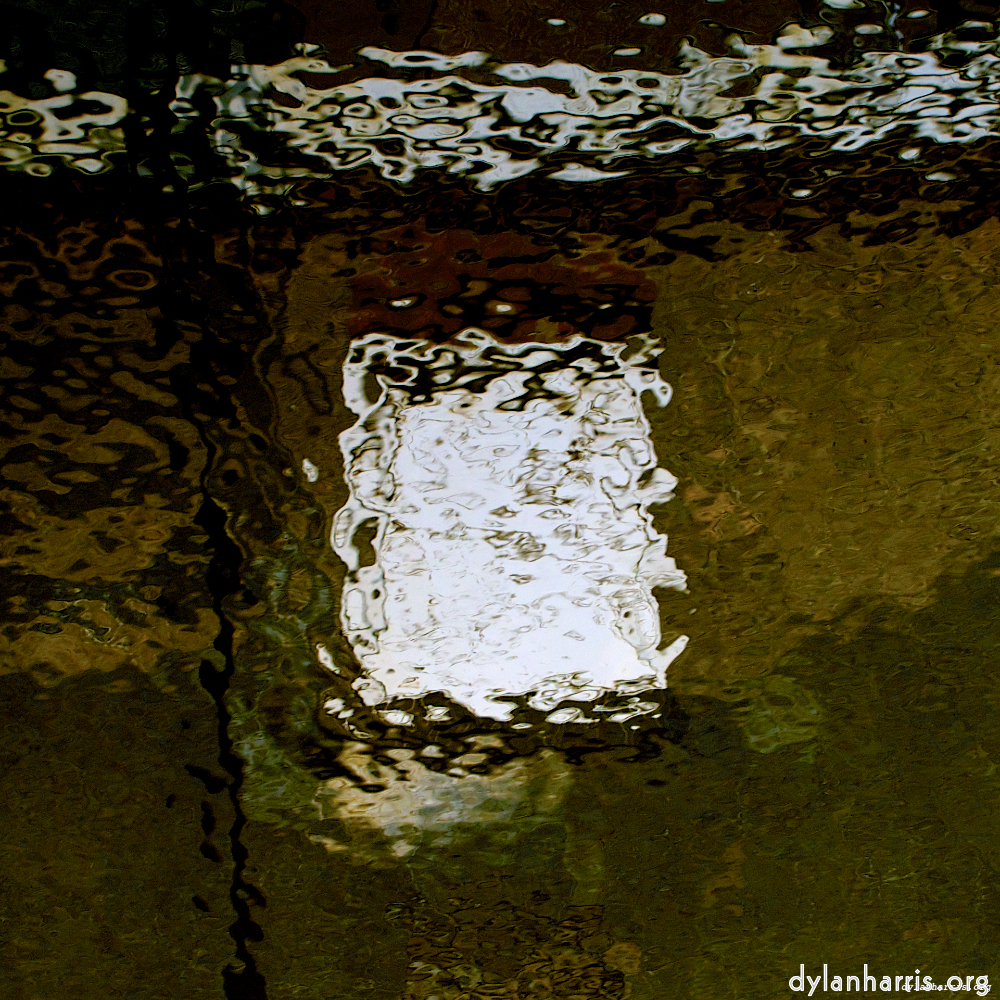 image: This is &lsquo;gouda (iii) 1&rsquo;.