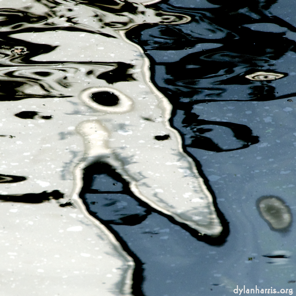 image: This is &lsquo;gouda (iii) 5&rsquo;.