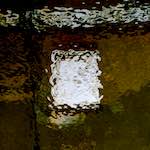 image: Image from the photoset &lsquo;gouda (iii)&rsquo;.