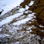 image: Image from the photoset &lsquo;gouda (iii)&rsquo;.