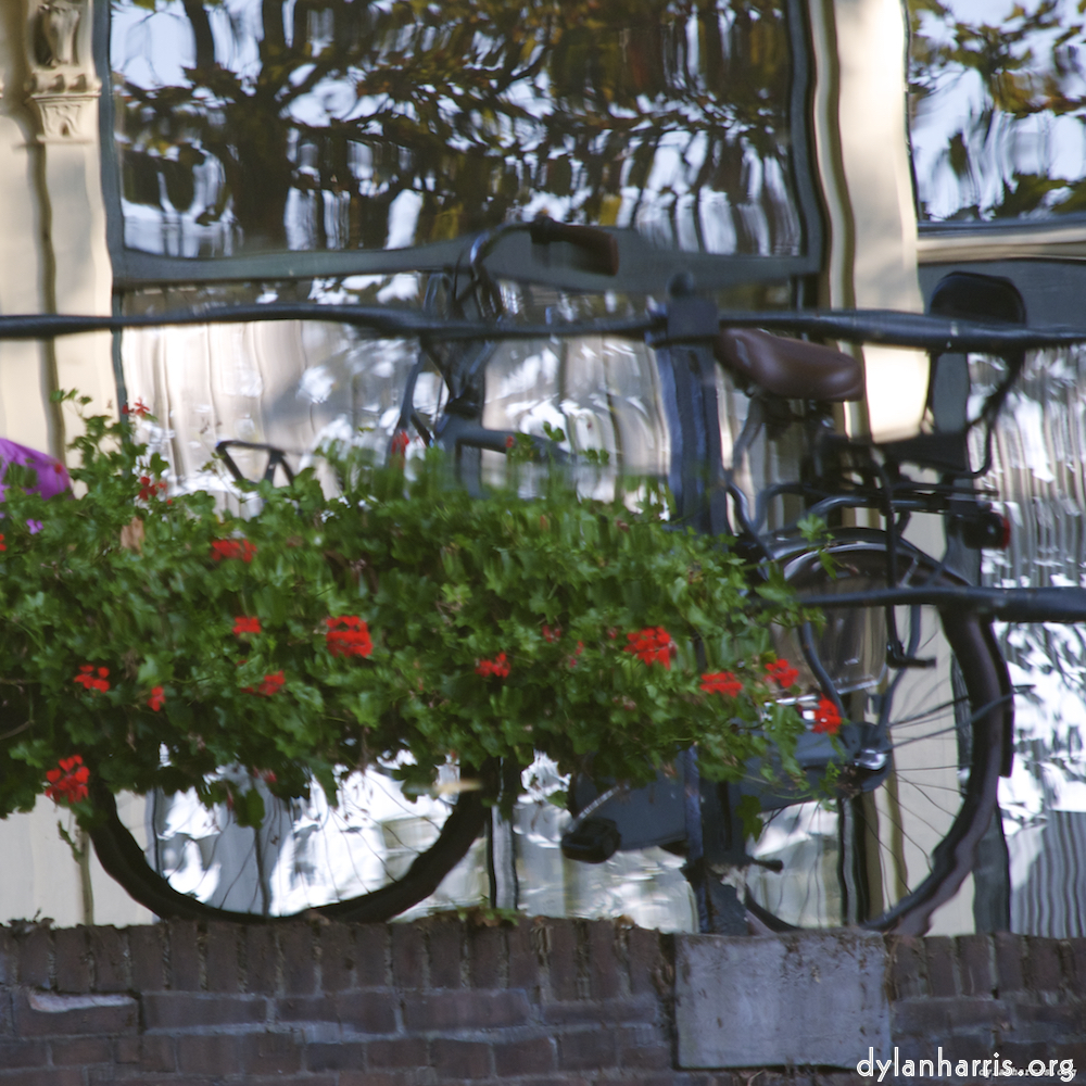 image: This is &lsquo;gouda (iv) 2&rsquo;.