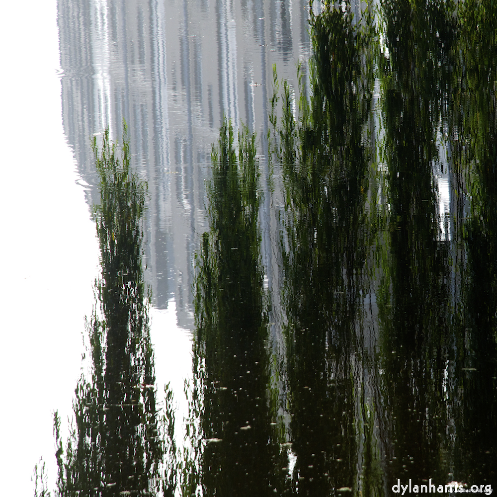 image: This is &lsquo;gouda (iv) 5&rsquo;.