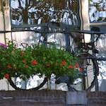 image: Image from the photoset &lsquo;gouda (iv)&rsquo;.