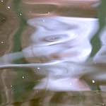 image: Image from the photoset &lsquo;gouda (iv)&rsquo;.