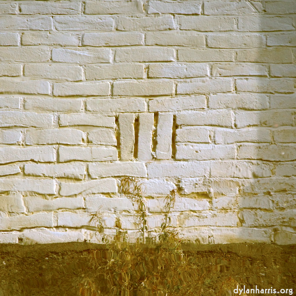 image: This is &lsquo;gouda (v) 5&rsquo;.