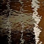 image: Image from the photoset &lsquo;gouda (v)&rsquo;.