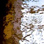 image: Image from the photoset &lsquo;gouda (v)&rsquo;.
