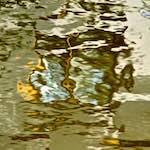 image: Image from the photoset &lsquo;gouda (v)&rsquo;.