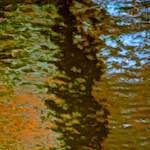 image: Image from the photoset &lsquo;gouda (v)&rsquo;.