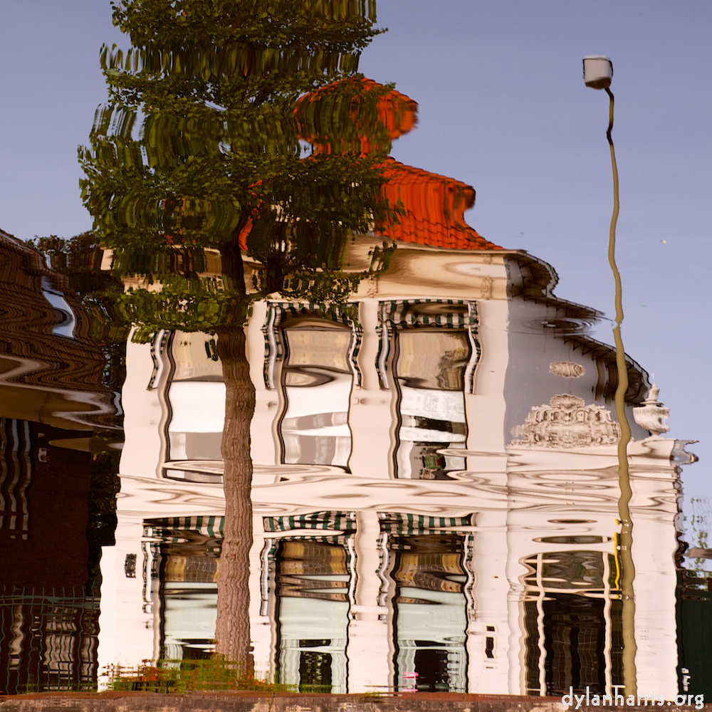 image: This is &lsquo;gouda (vi) 1&rsquo;.