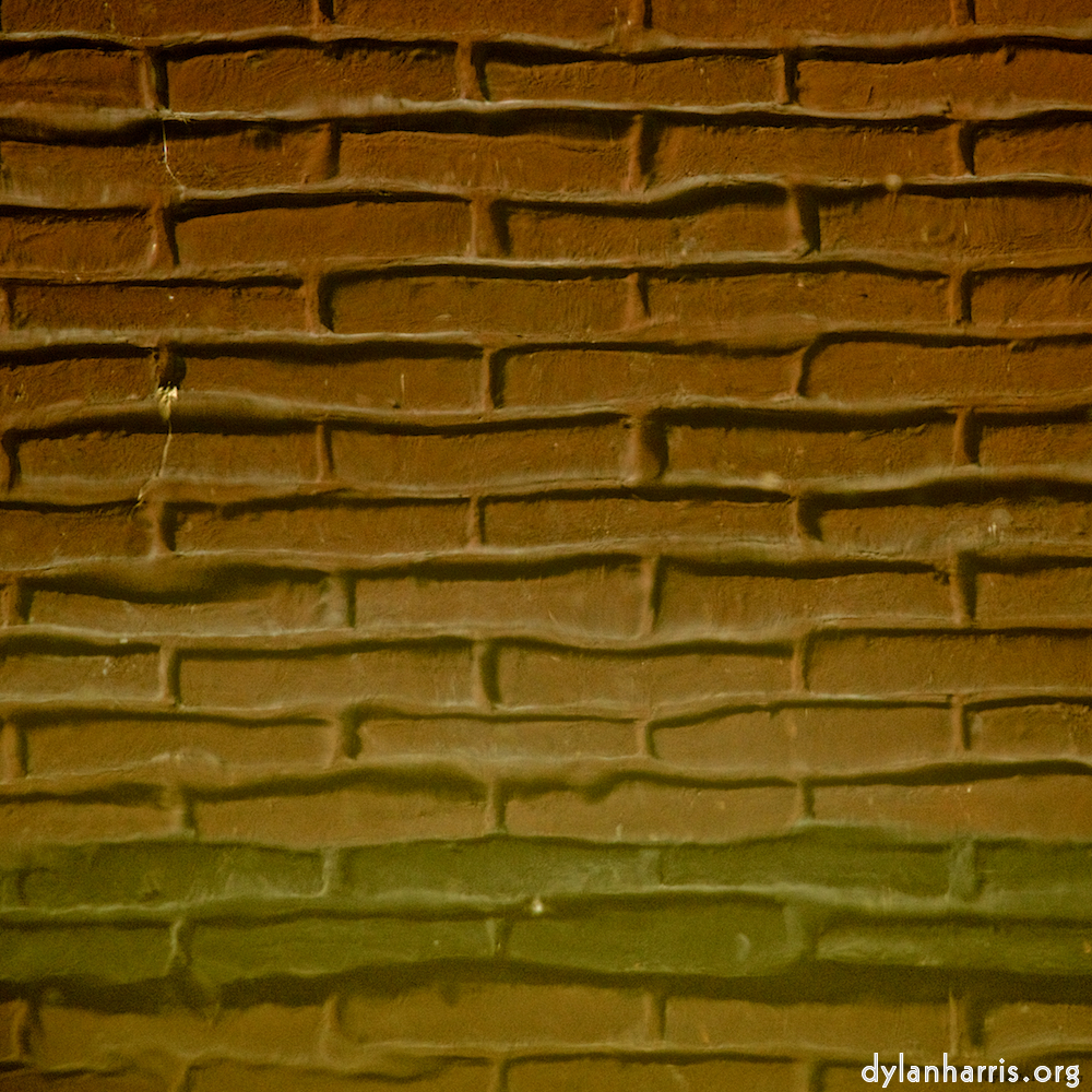 image: This is &lsquo;gouda (vi) 2&rsquo;.