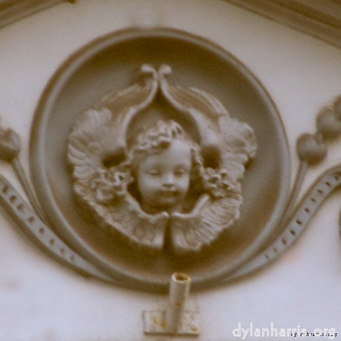 image: This is &lsquo;gouda (vi) 3&rsquo;.