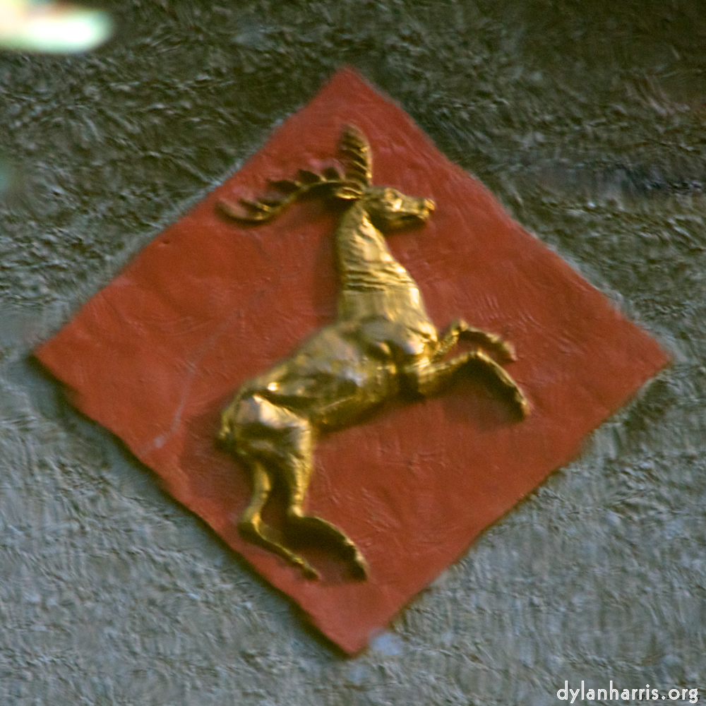image: This is &lsquo;gouda (vi) 6&rsquo;.
