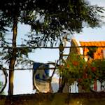 image: Image from the photoset &lsquo;gouda (vi)&rsquo;.