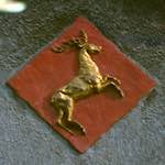image: Image from the photoset &lsquo;gouda (vi)&rsquo;.