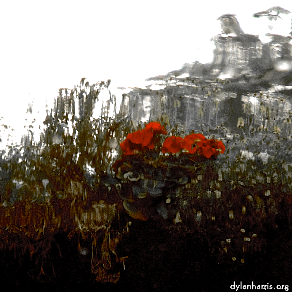 image: This is &lsquo;gouda (vii) 4&rsquo;.