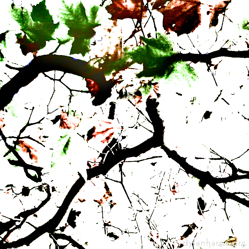 image: This is &lsquo;leaf (iv) 1&rsquo;.