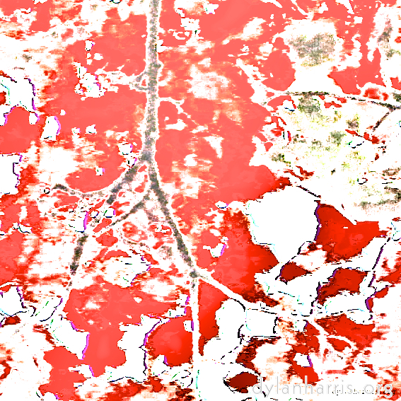 image: This is &lsquo;leaf (iv) 2&rsquo;.