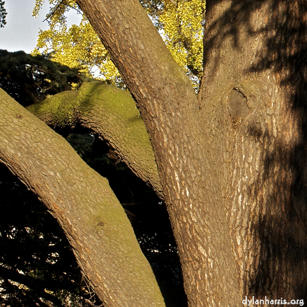 image: This is &lsquo;parc (vii) 8&rsquo;.