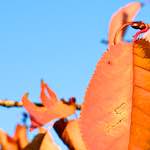 image: Image from the photoset &lsquo;parc (vii)&rsquo;.