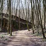 image: Image from the photoset &lsquo;wood (xxxvi)&rsquo;.