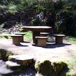 image: Image from the photoset &lsquo;wood (xxxvii)&rsquo;.