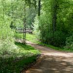 image: Image from the photoset &lsquo;wood (xxx)&rsquo;.