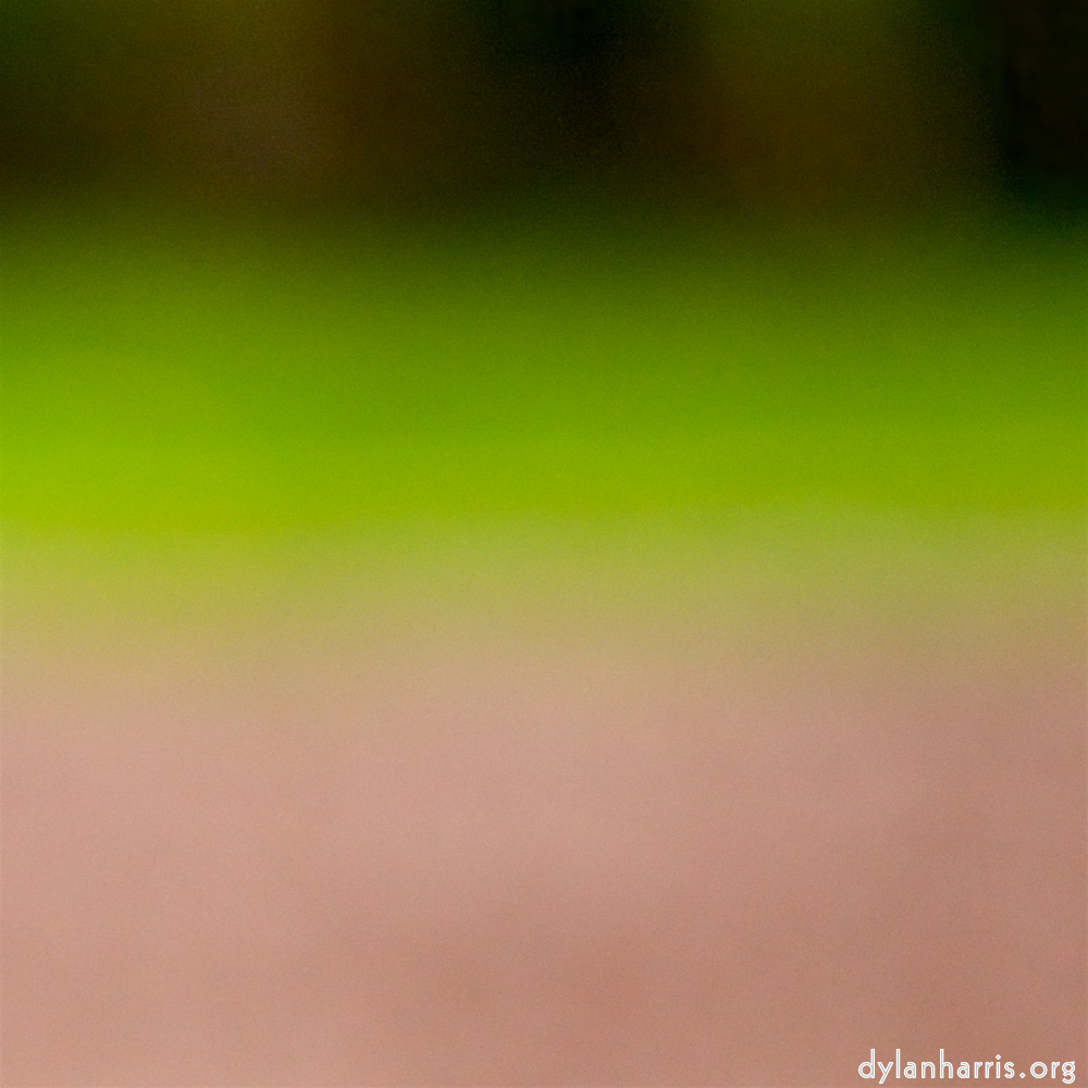 image: This is &lsquo;park (xxxvii) 2&rsquo;.