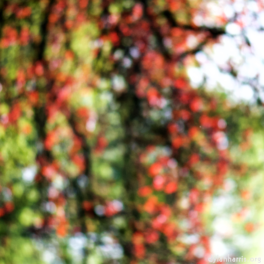 image: This is &lsquo;park (xxxvii) 5&rsquo;.