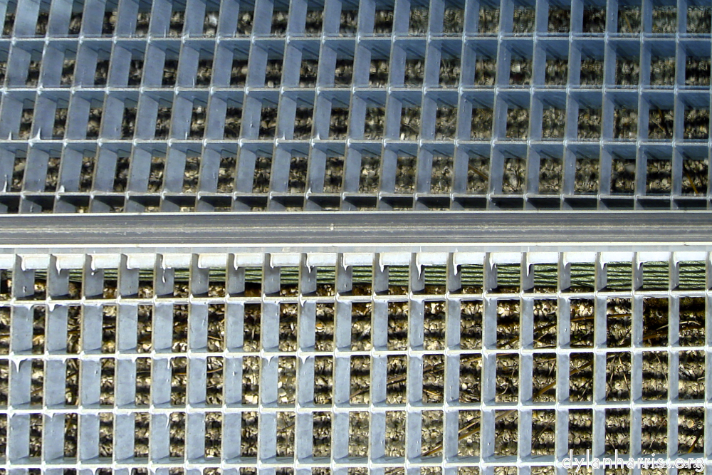 image: This is &lsquo;eurostar (ii) 5&rsquo;.