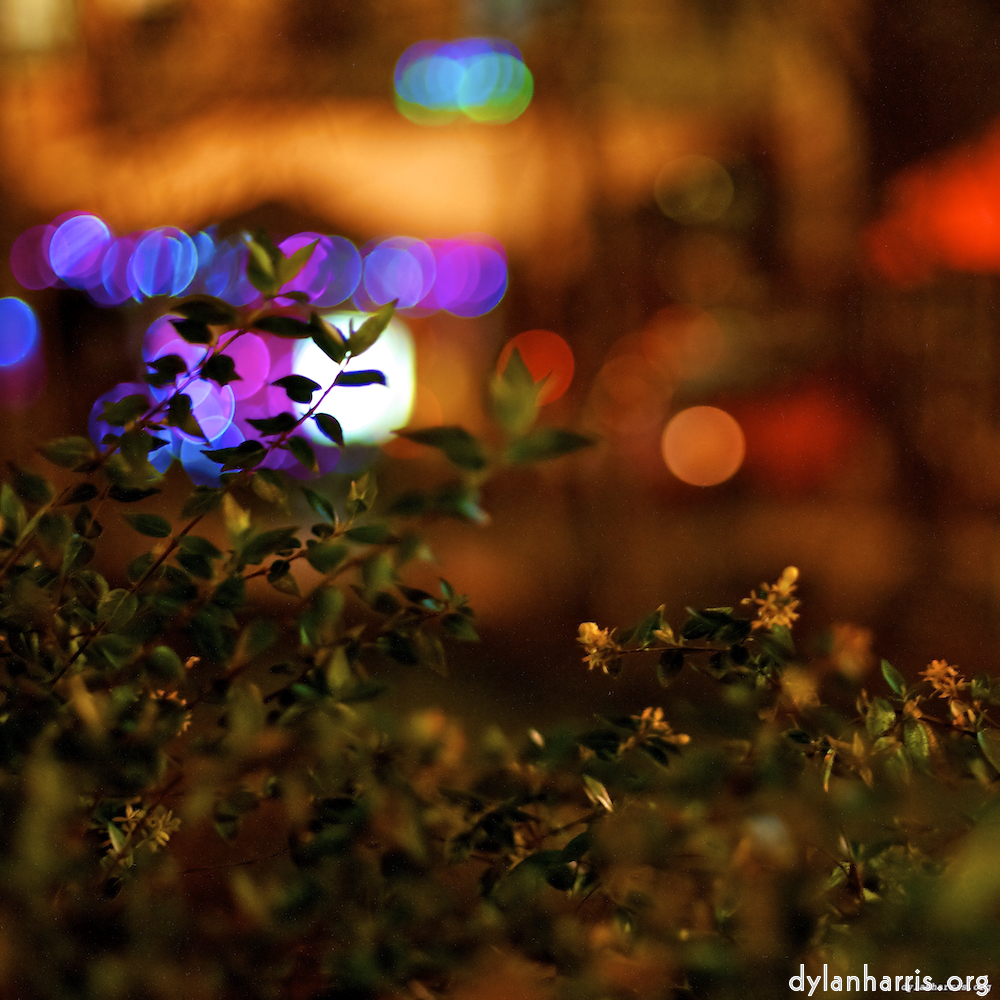 image: This is &lsquo;nuit (v) 2&rsquo;.
