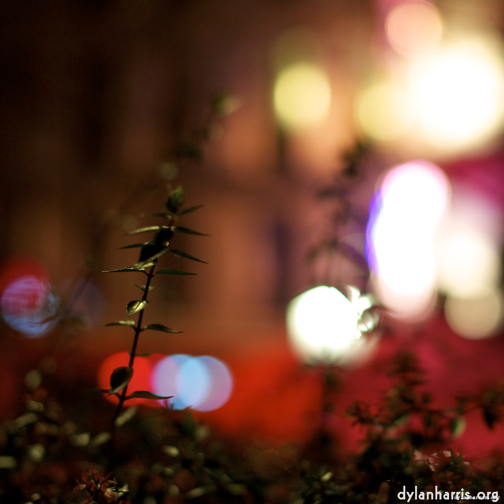 image: This is &lsquo;nuit (v) 8&rsquo;.