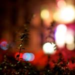 image: Image from the photoset &lsquo;nuit (v)&rsquo;.