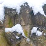 image: Image from the photoset &lsquo;grund (xii)&rsquo;.