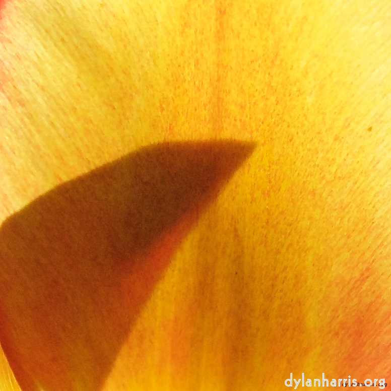 image: This is &lsquo;escher blummen (l) 4&rsquo;.