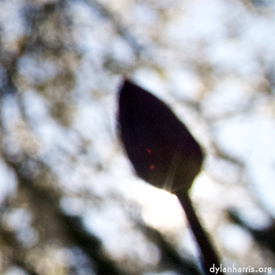 image: This is &lsquo;parc (xiv) 5&rsquo;.
