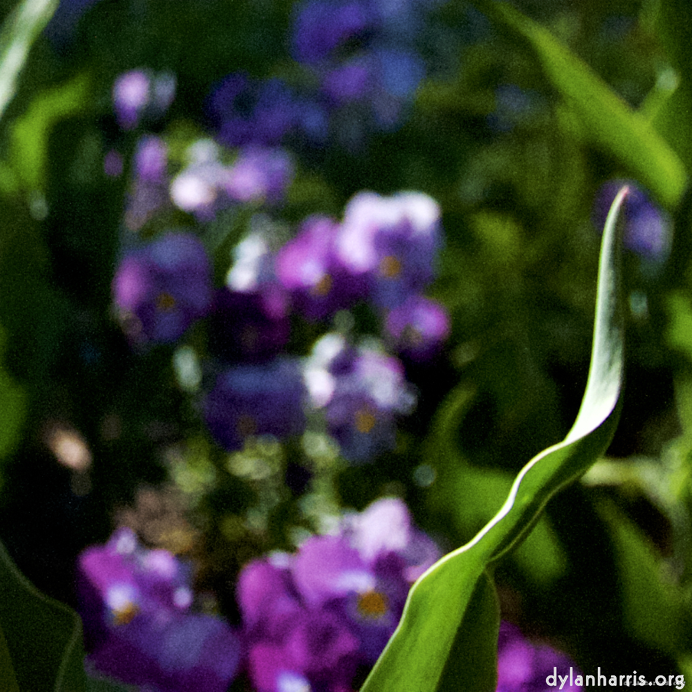 image: This is &lsquo;parc (xiv) 6&rsquo;.