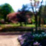 image: Image from the photoset &lsquo;parc (xiv)&rsquo;.
