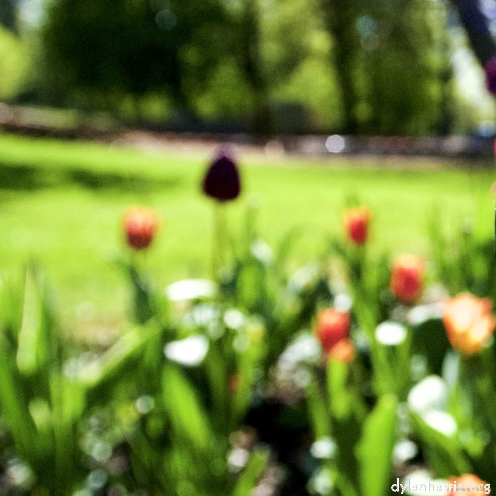 image: This is &lsquo;parc (xv) 7&rsquo;.