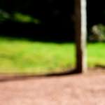 image: Image from the photoset &lsquo;parc (xv)&rsquo;.