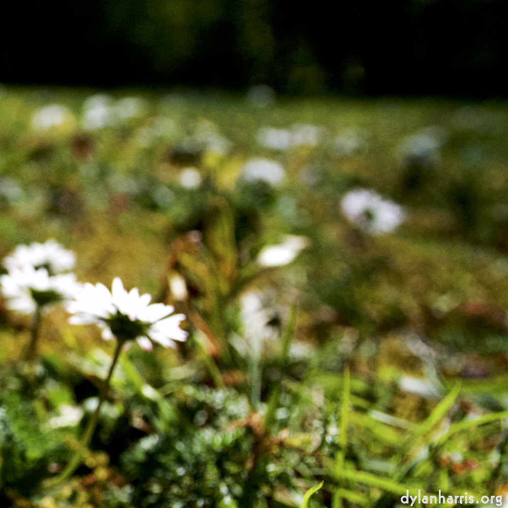 image: This is &lsquo;parc (xvi) 5&rsquo;.