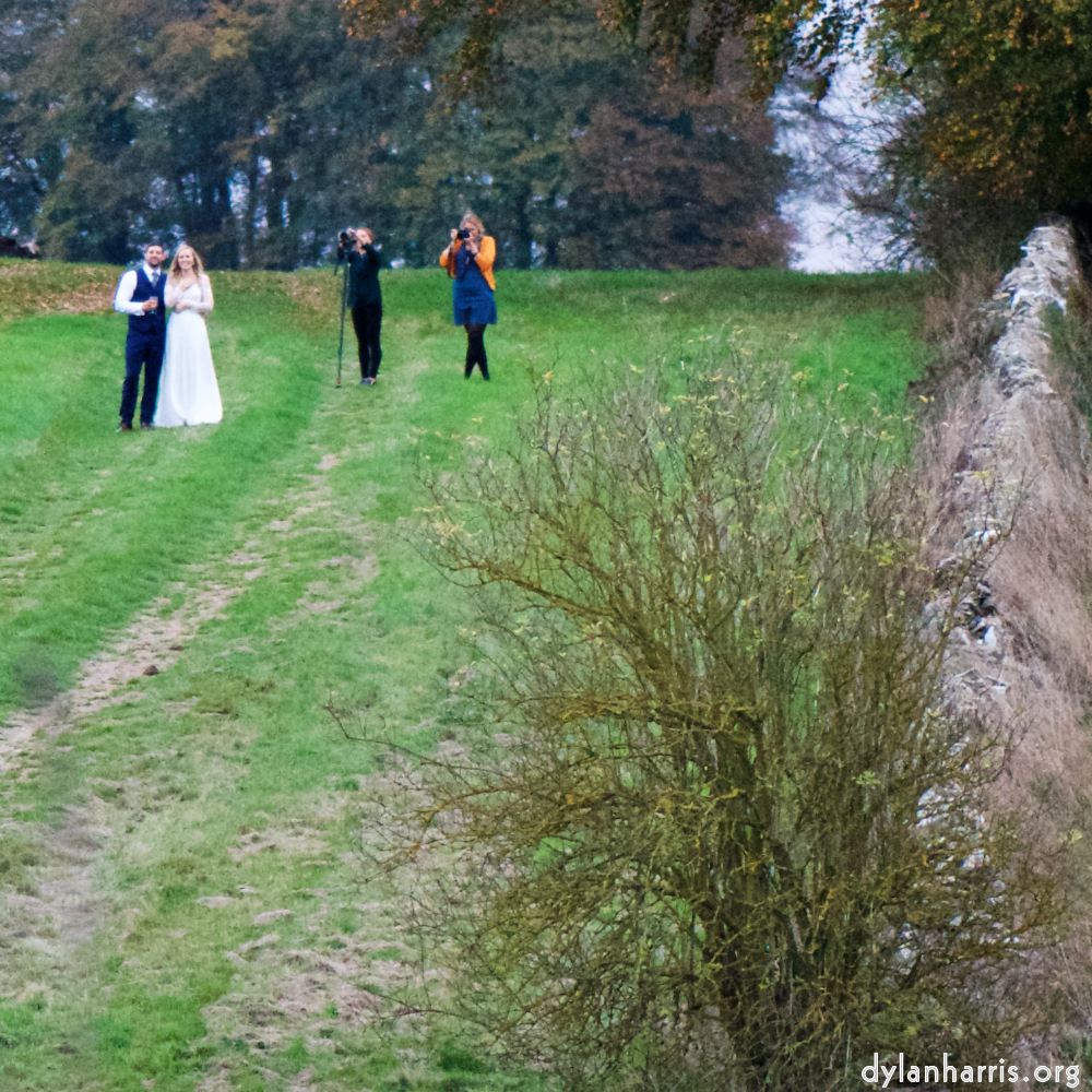 image: This is &lsquo;family (xxii) 3&rsquo;.