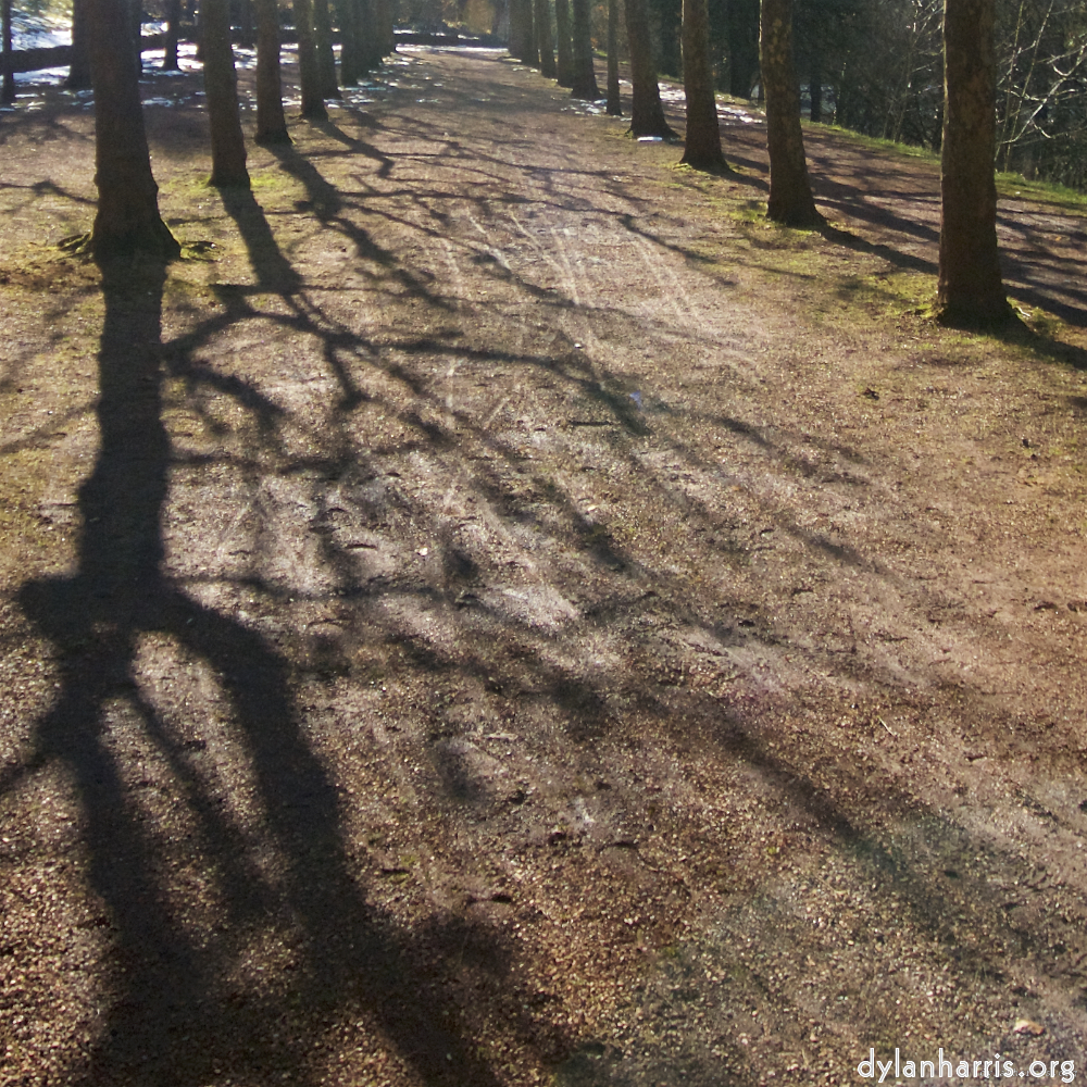 image: This is &lsquo;parc (xxiii) 1&rsquo;.