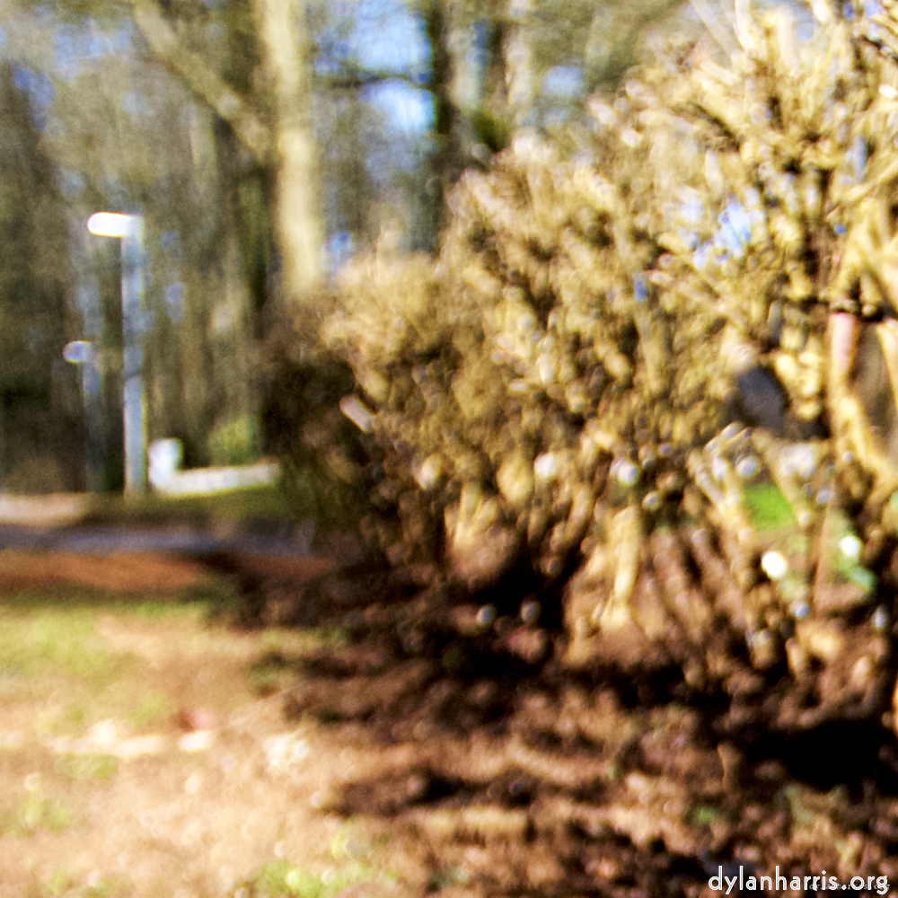 image: This is &lsquo;parc (xxiii) 2&rsquo;.