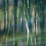 image: Image from the photoset &lsquo;wood (xxxii)&rsquo;.